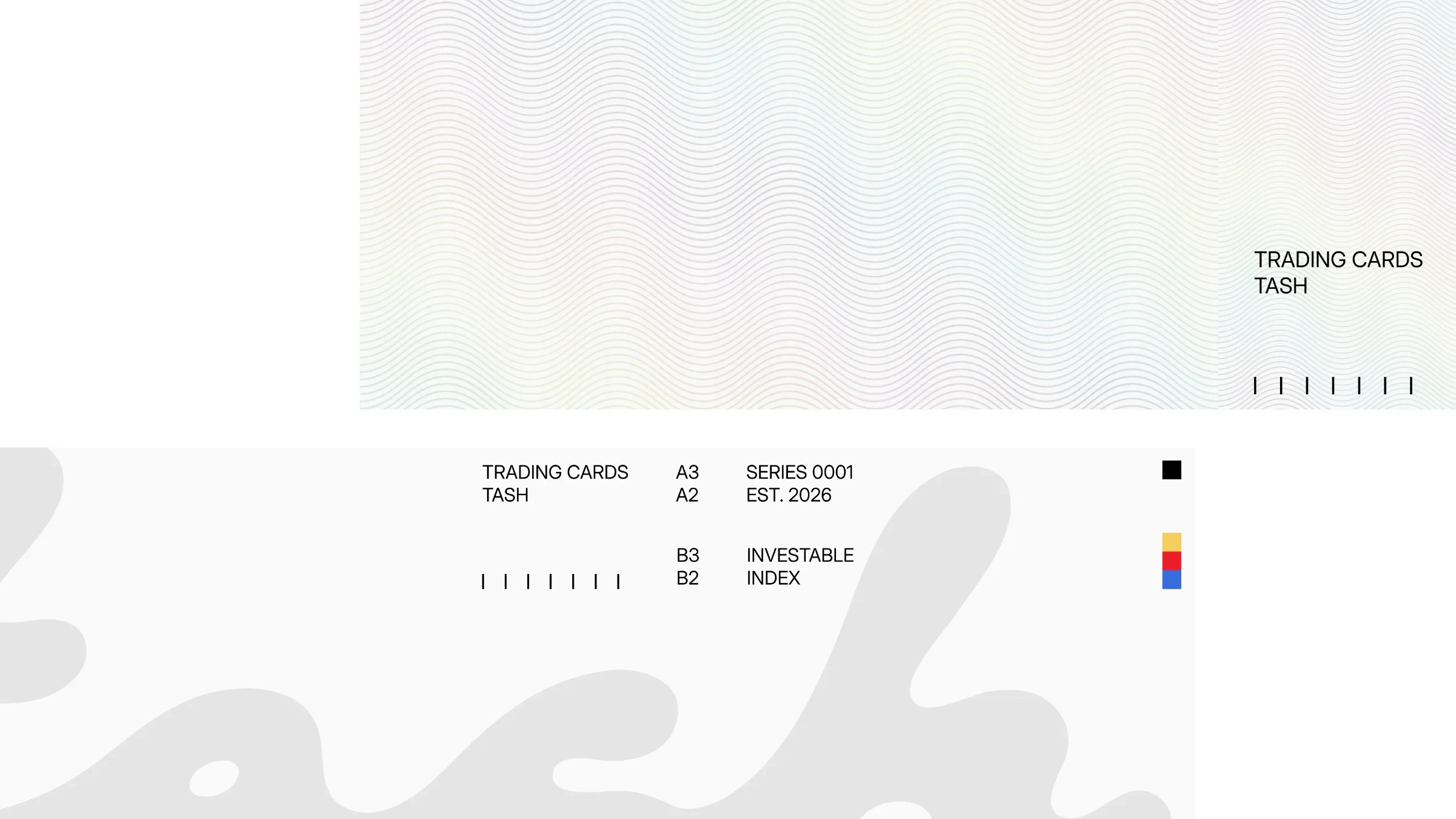 tash: Money-print details